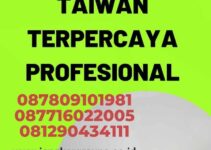 Pusat Penerjemah Taiwan Terpercaya Profesional
