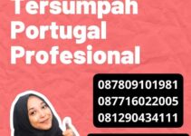 Tarif Penerjemah Tersumpah Portugal Profesional