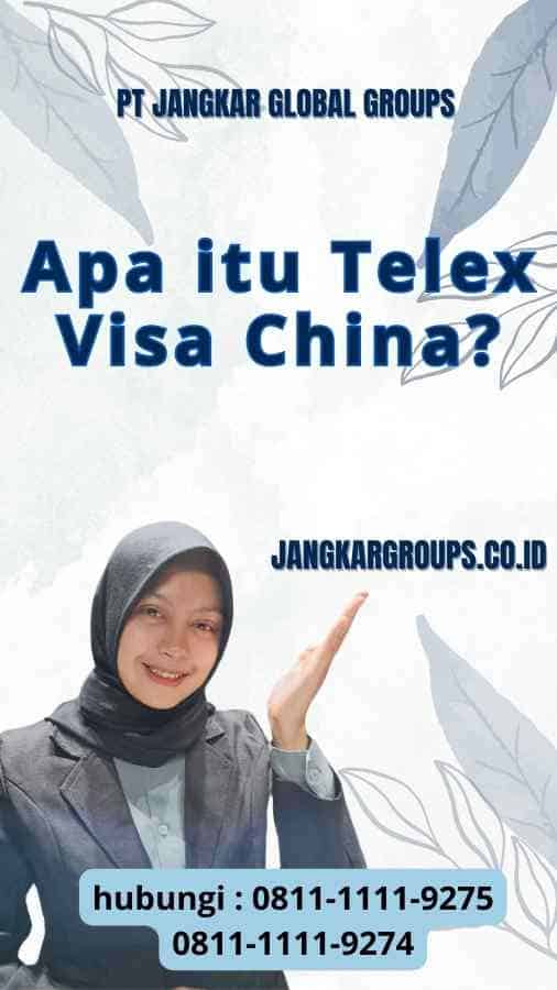 Apa itu Telex Visa China? - Panduan Mengurus Telex Visa China
