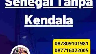 Aplikasi Visa Senegal Tanpa Kendala