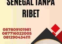 Mengurus Visa Senegal Tanpa Ribet