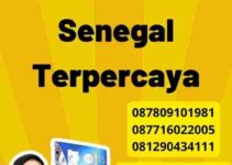 Pengalaman Jasa Visa Senegal Terpercaya