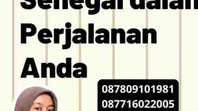 Peran Biro Jasa Visa Senegal dalam Perjalanan Anda