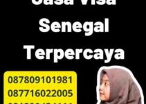 Perbandingan Jasa Visa Senegal Terpercaya