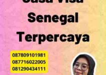 Rekomendasi Jasa Visa Senegal Terpercaya