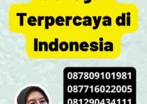 Review Visa Senegal Terpercaya di Indonesia