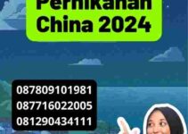 Syarat Visa Pernikahan China 2024