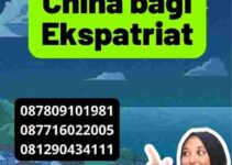 Visa Kerja China bagi Ekspatriat