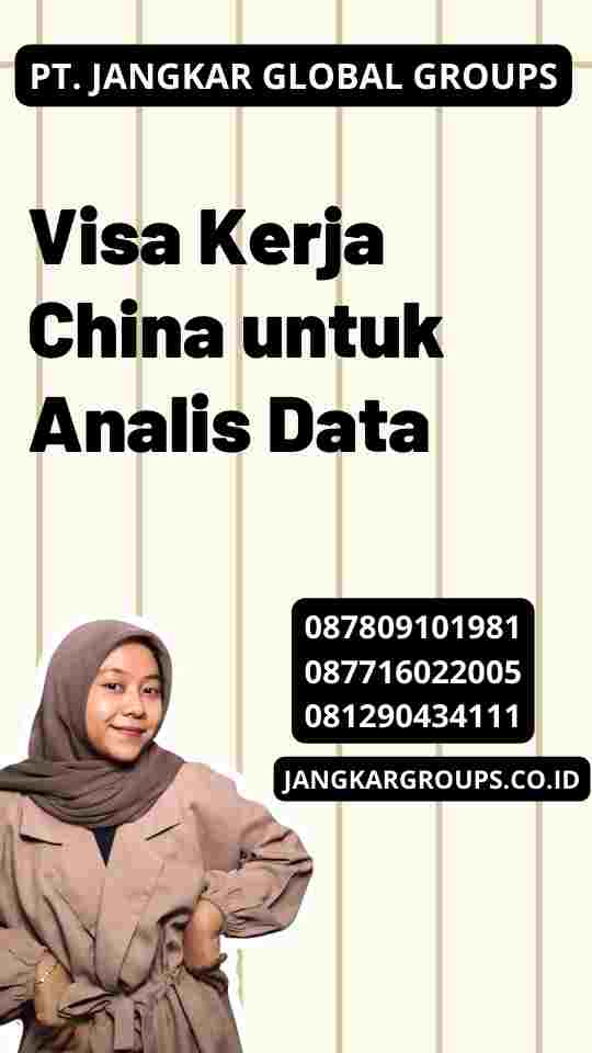 Visa Kerja China untuk Analis Data