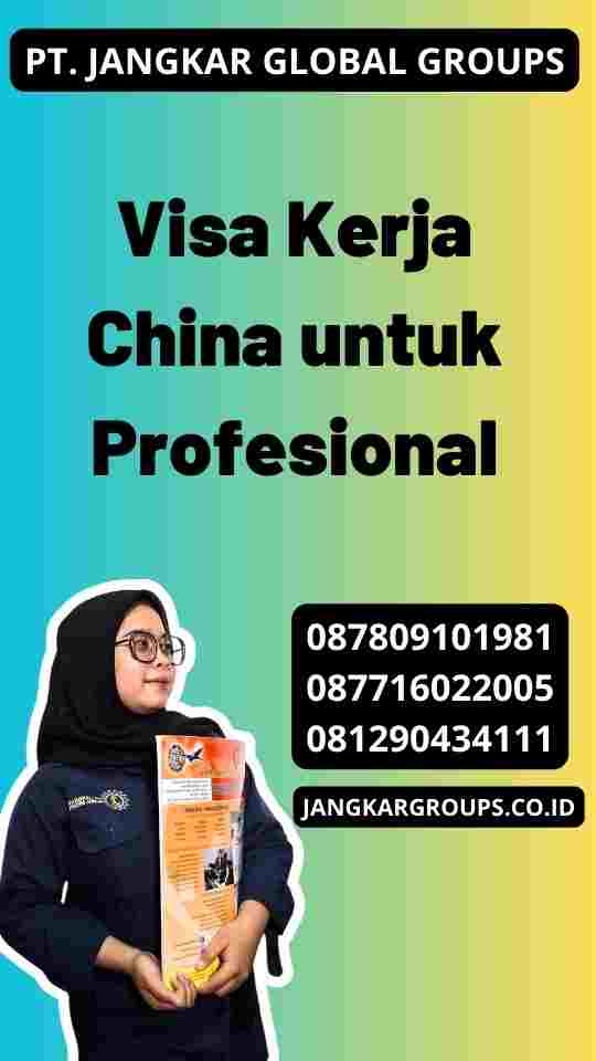 Visa Kerja China untuk Profesional