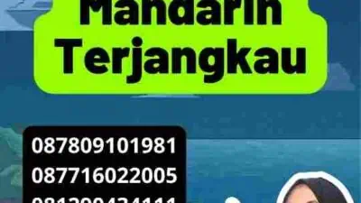 Jasa Translate Mandarin Terjangkau