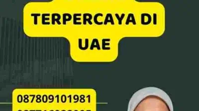 Jasa Translate Online Terpercaya di UAE