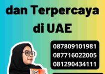 Layanan Translate Cepat dan Terpercaya di UAE