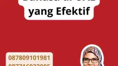 Solusi Translate Bahasa di UAE yang Efektif