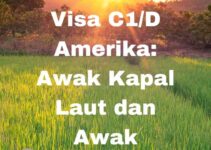 Visa C1/D Amerika: Awak Kapal Laut dan Awak Pesawat