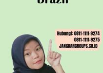 Biro Jasa Visa Brazil