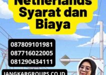 Jasa Legalisir Kedutaan Netherlands Syarat dan Biaya