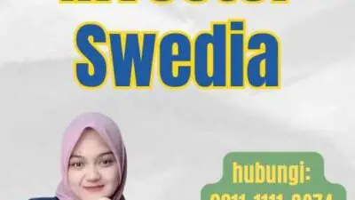 Jasa Visa Investor Swedia