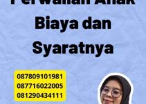 Legalisir Badilag Perwalian Anak Biaya dan Syaratnya