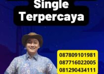 Legalisir Dokumen Surat Single Terpercaya