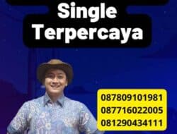 Legalisir Dokumen Surat Single Terpercaya