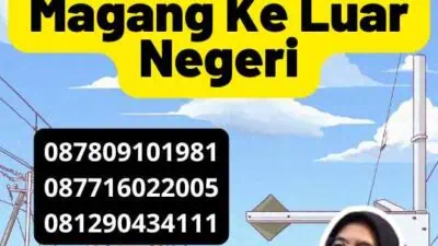 Legalisir Kemendikbud Pengantar Magang Ke Luar Negeri