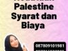 Legalisir SKCK Kedutaan Palestine Syarat dan Biaya