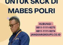 Legalisir SKCK Pentingnya dan Cara Mengurusnya