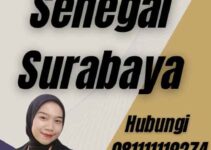 Agen Visa Senegal Surabaya