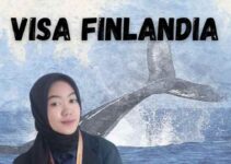 Agency Pembuatan Visa Finlandia