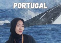 Agency Pembuatan Visa Portugal