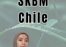 Apostille SKBM Chile