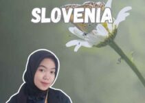 Biro Jasa Pengurusan Slovenia