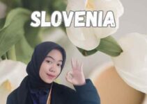 Biro Jasa Visa Slovenia