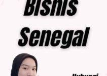 Butuh Visa Bisnis Senegal