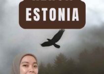 Butuh Visa Kerja Estonia