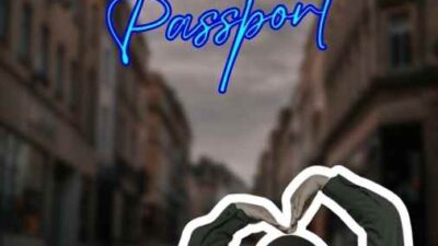 Electronic Passport