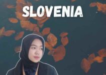 Jasa Partner Visa Slovenia