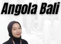 Jasa VIsa Angola Bali