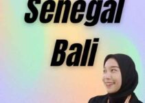 Jasa VIsa Senegal Bali