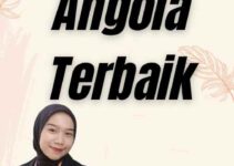 Jasa Visa Angola Terbaik