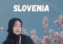 Jasa Visa Belajar Slovenia