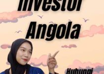 Jasa Visa Investor Angola