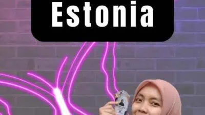 Jasa Visa Investor Estonia