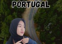 Jasa Visa Investor Portugal