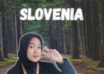 Jasa Visa Kerja Slovenia