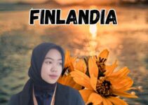 Jasa Visa Kunjungan Finlandia