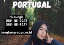 Jasa Visa Kunjungan Portugal