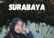 Jasa Visa Slovenia Surabaya