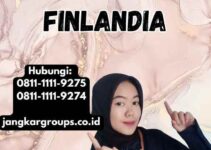 Keuntungan Jasa Visa Finlandia